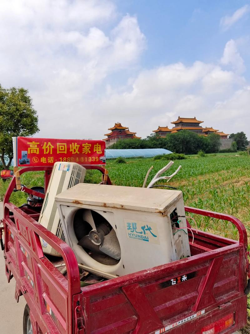 教你如何高效地进行物资回收